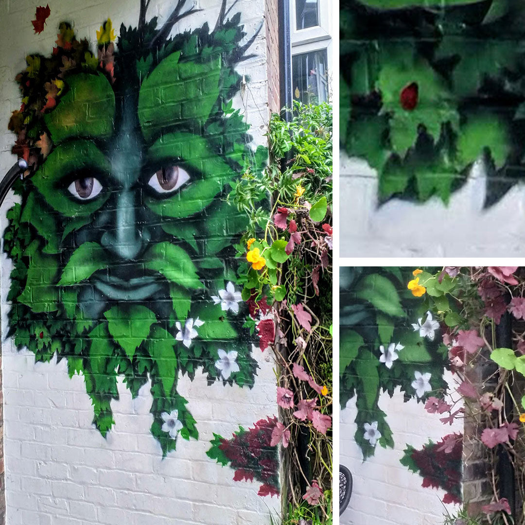 Exterior Murals